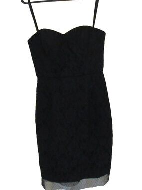 BCBGMAXAZRIA Roselle Lace Knee Length Underwire Corset Dress Size 0